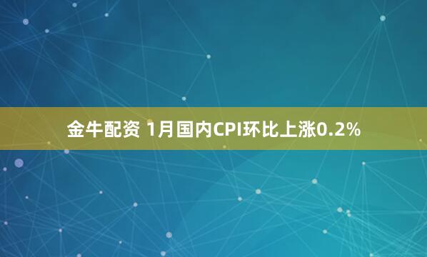 金牛配资 1月国内CPI环比上涨0.2%